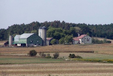 Farm